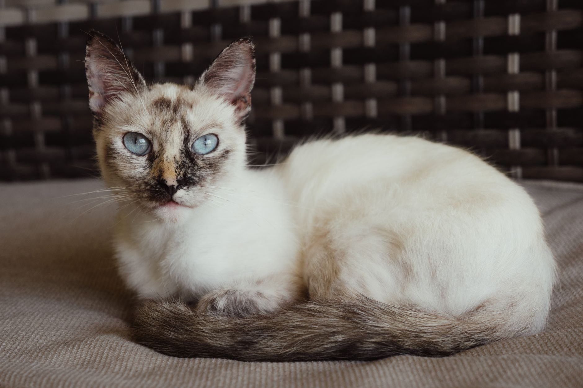 Zoe